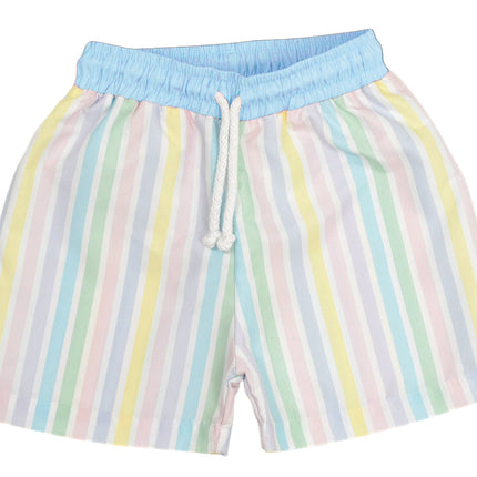 Pastel Stripe Swim Shorts