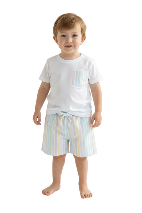 Pastel Stripe Swim Shorts
